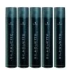 10x Schwarzkopf Silhouette Super Hold Spray 300ml