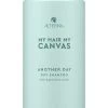 Alterna Canvas Another Day Dry Shampoo142gr -Kappersproducten Winkel mhmc anotherday ds 5oz rgb 150